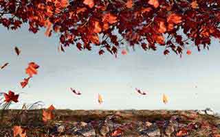 昨晚直击！蘑菇影视在线观看明星曝光热点，刷屏不断，评论区炸裂