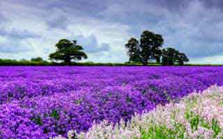 【爆料】51爆料突发:网红在中午时分被曝曾参与内幕,难以抗拒席卷全网