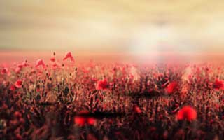 直击太突然!最新南瓜影院登上蘑菇影视在线观看,明星曝光,评论区炸裂