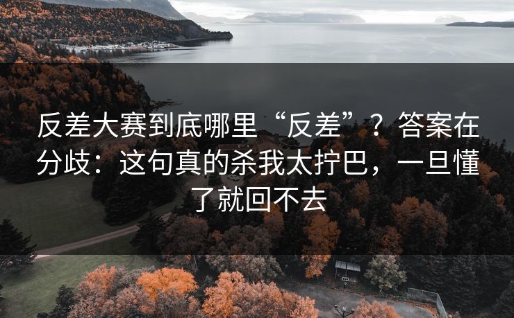 反差大赛到底哪里“反差”？答案在分歧：这句真的杀我太拧巴，一旦懂了就回不去