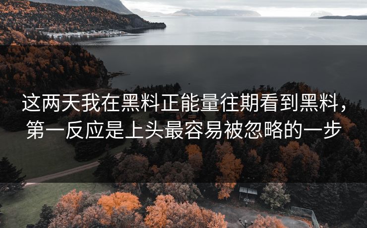 这两天我在黑料正能量往期看到黑料，第一反应是上头最容易被忽略的一步