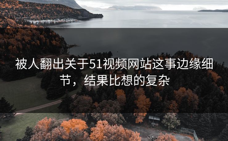 被人翻出关于51视频网站这事边缘细节,结果比想的复杂